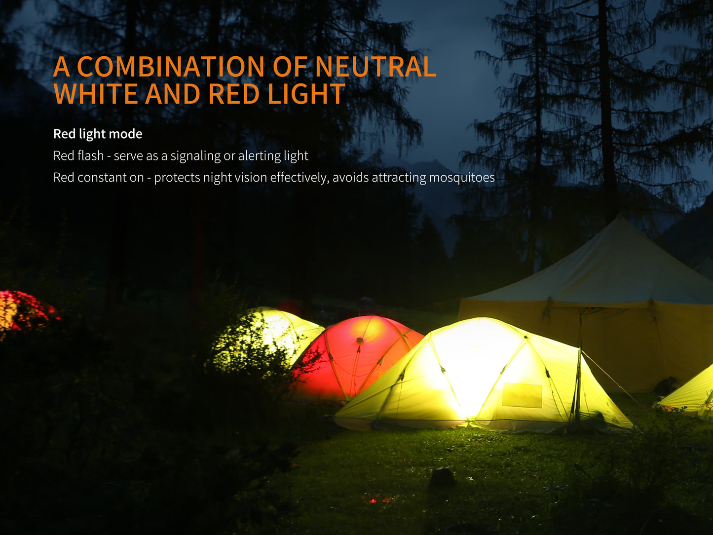 Fenix CL20R Compact Waterproof Rechargeable Camping / Outdoor Lantern